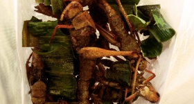 thai-heushrecken-als-essen