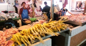 cimg0433-fresh-market-chicks